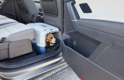 Pes v autě patří do boxu v kufru. Bez jištění je v nebezpečí on i vy 