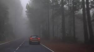Nástrahy podzimních silnic: Nejen nízké teploty, listí či zvěř vyžadují zvýšenou pozornost