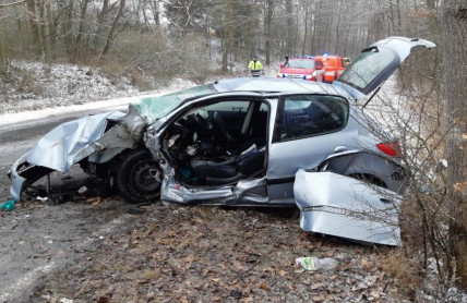 Strom není viníkem nehody, bývá jím řidič a někdy i stav silnice 