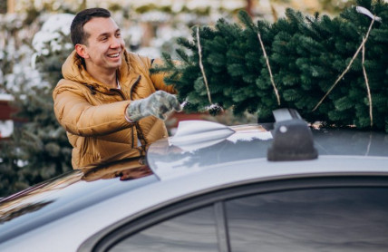 Přeprava vánočního stromku na autě: Jakých chyb se mnoho z nás dopouští? Jak stromek správně a bezpečně upevnit?