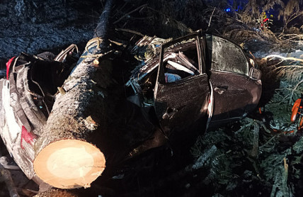 Spadl vám na auto strom? Bez pojistky jste nahraní a povinné ručení nepomůže 