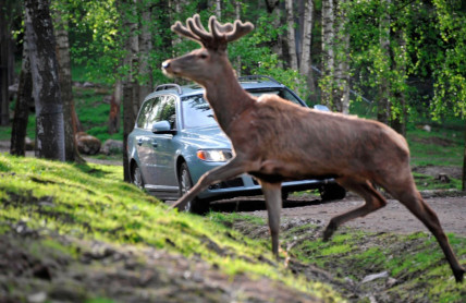 Řidiči řeší cenu pojistky, po nehodě přijde překvapení. Desítky tisíc mohou platit sami